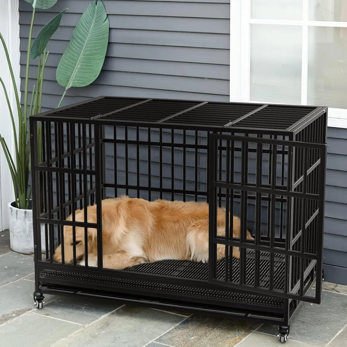 Cage pour chien BOSSIN robuste et indestructible de 48/38 po, chenil anti-fugue avec roulettes verrouillables
