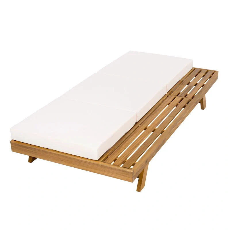 Christopher Knight Home- Michael Outdoor Acacia Chaise Lounge Set of 2