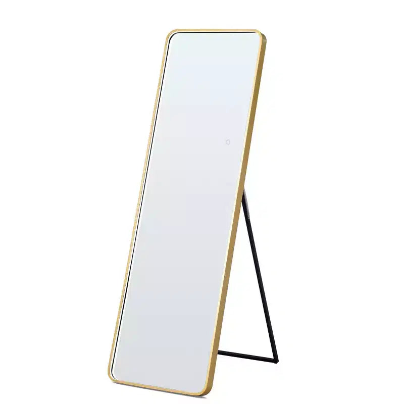 64x17in Modern Full Body Standing Mirror with Hanging Hole, Wall Mirror for Dressing Room, Living Room