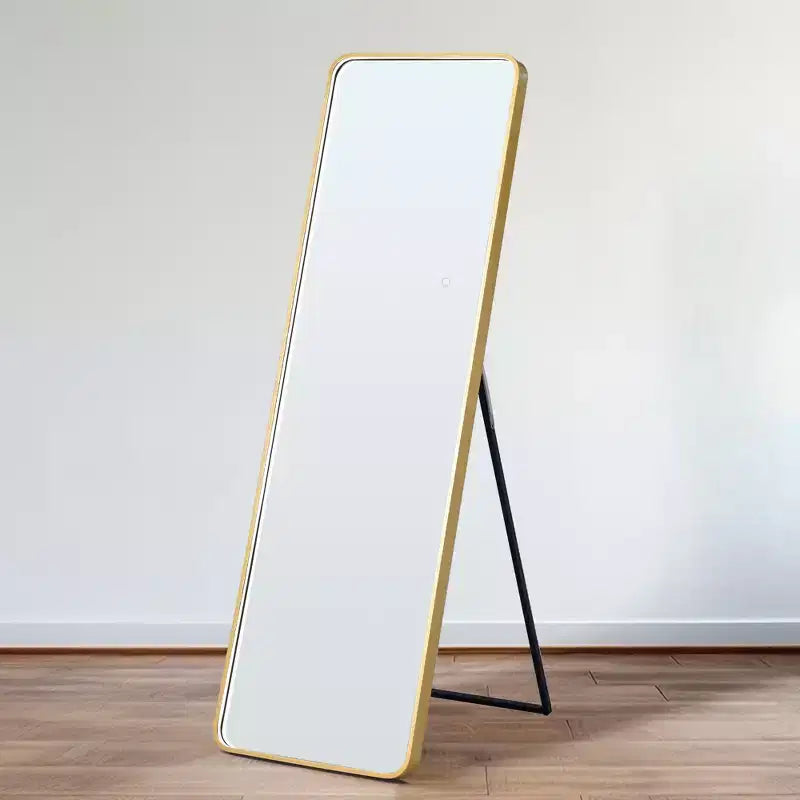 64x17in Modern Full Body Standing Mirror with Hanging Hole, Wall Mirror for Dressing Room, Living Room