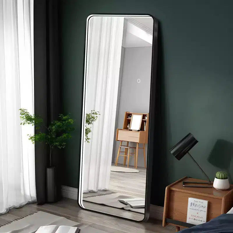 64x17in Modern Full Body Standing Mirror with Hanging Hole, Wall Mirror for Dressing Room, Living Room
