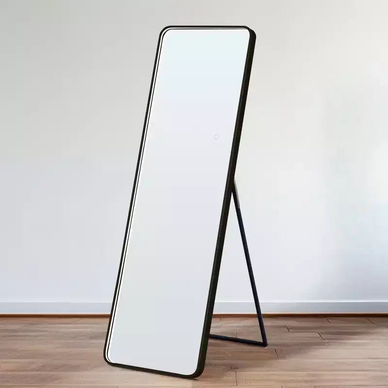 64x17in Modern Full Body Standing Mirror with Hanging Hole, Wall Mirror for Dressing Room, Living Room