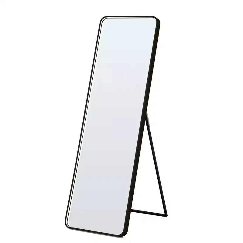 64x17in Modern Full Body Standing Mirror with Hanging Hole, Wall Mirror for Dressing Room, Living Room
