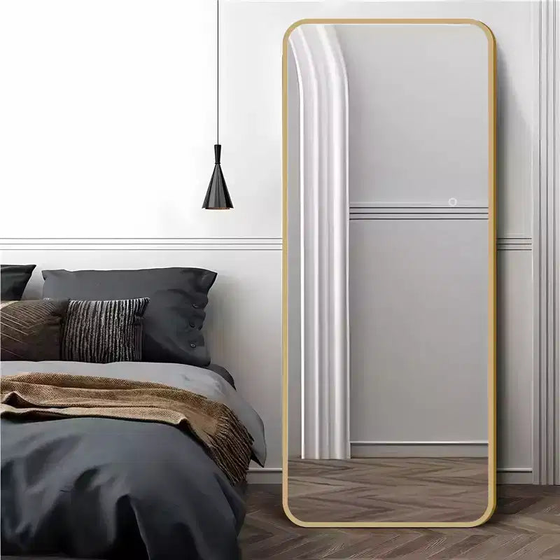 64x17in Modern Full Body Standing Mirror with Hanging Hole, Wall Mirror for Dressing Room, Living Room
