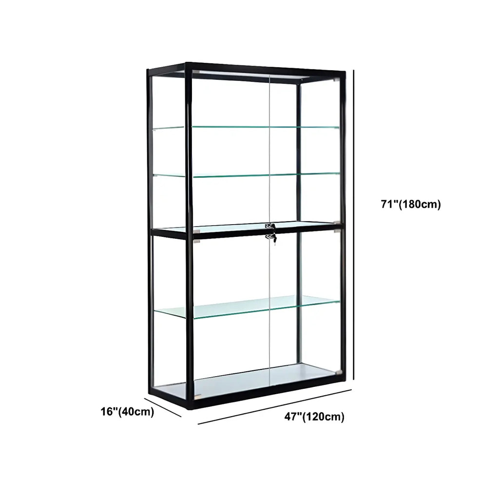 Contemporary Rectangular Black Glass Curio Cabinet