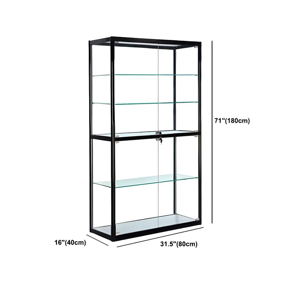 Contemporary Rectangular Black Glass Curio Cabinet
