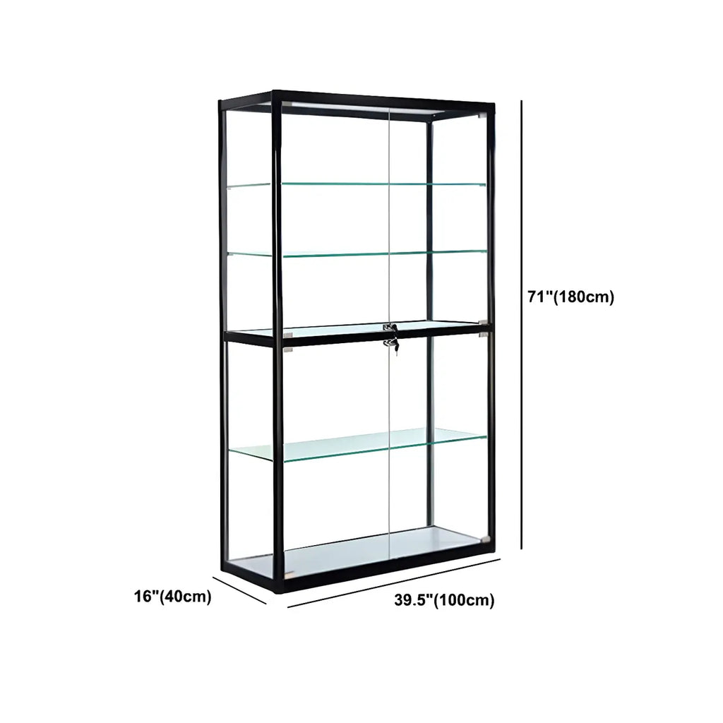 Contemporary Rectangular Black Glass Curio Cabinet