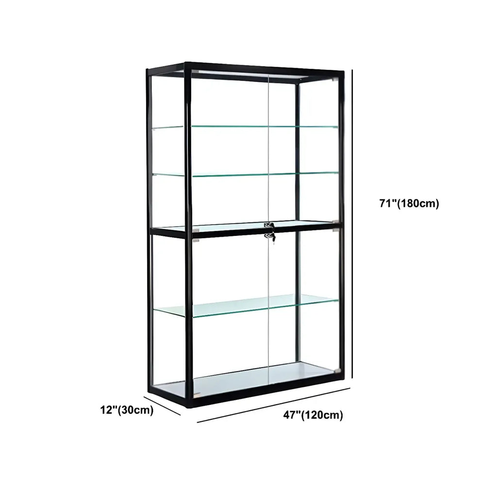 Contemporary Rectangular Black Glass Curio Cabinet