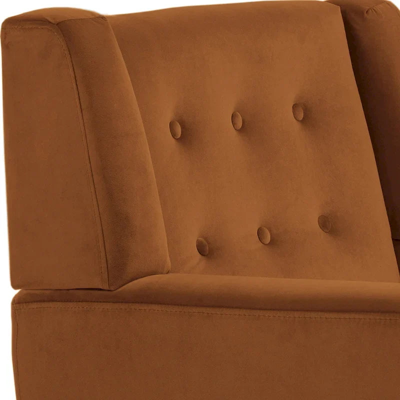 Set van 2 fluwelen accentstoelen voor de woonkamer, gestoffeerde fauteuils