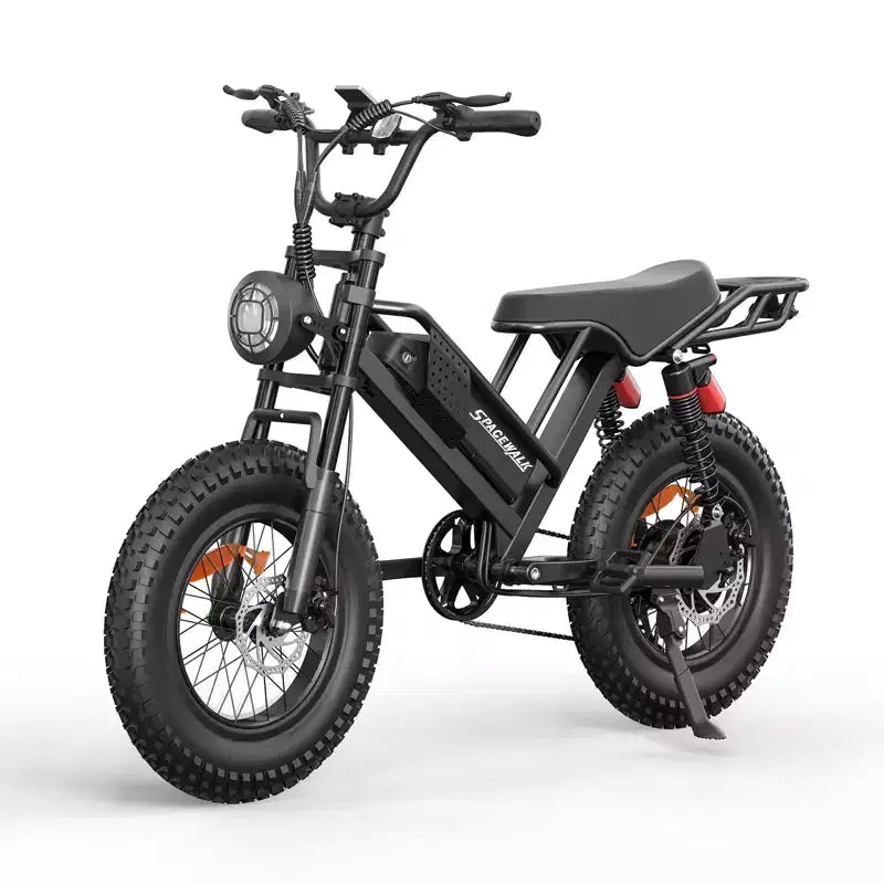 Eilleo 20 Fat-Tire-E-Bike, 750-W-Motor (920 W Spitzenleistung), 24,9 mph, 5070 Meilen Reichweite, 48-V-15,6-Ah-Akku, Vollfederung, Shimano 7-Gang