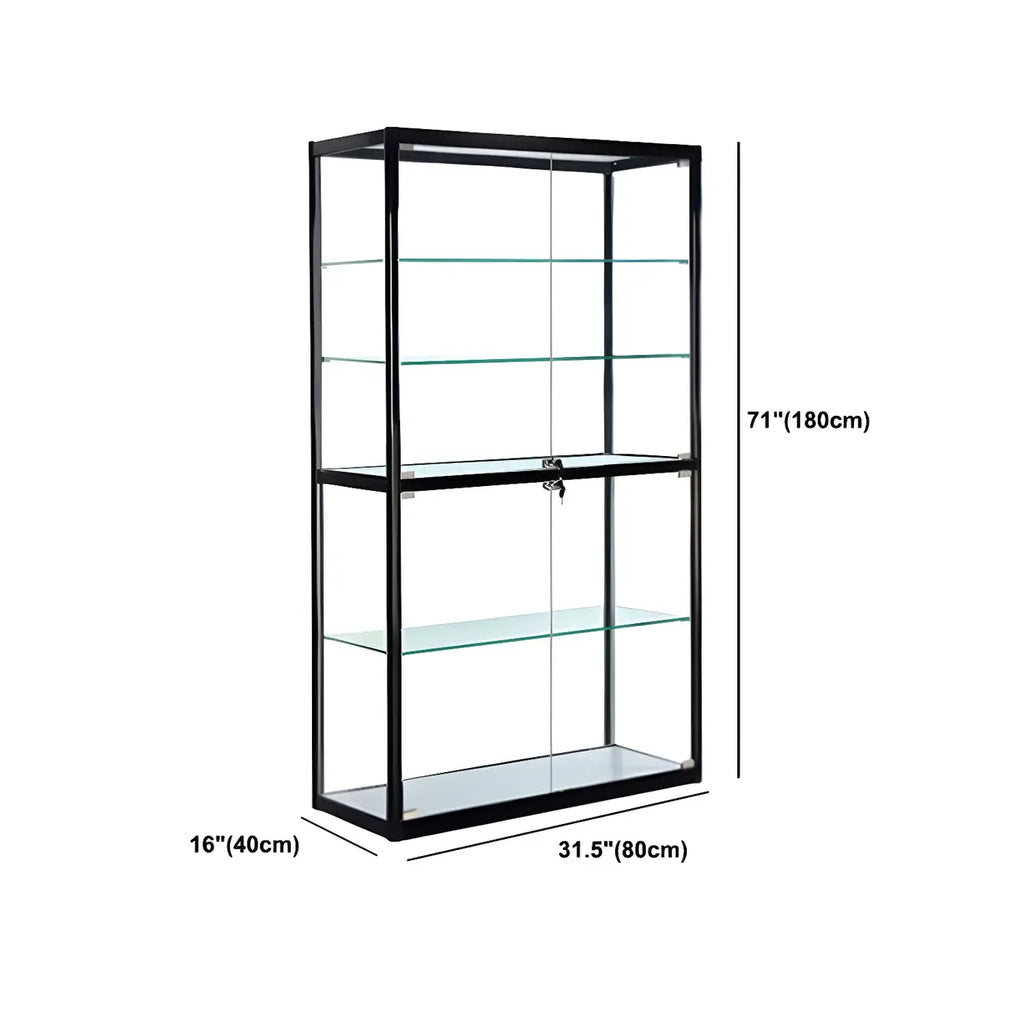 Contemporary Rectangular Black Glass Curio Cabinet