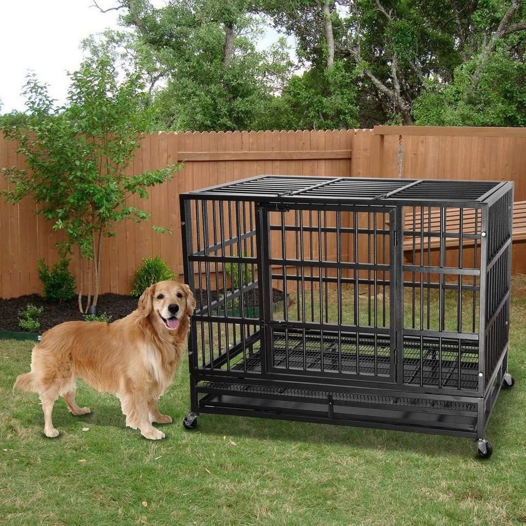 Cage pour chien BOSSIN robuste et indestructible de 48/38 po, chenil anti-fugue avec roulettes verrouillables