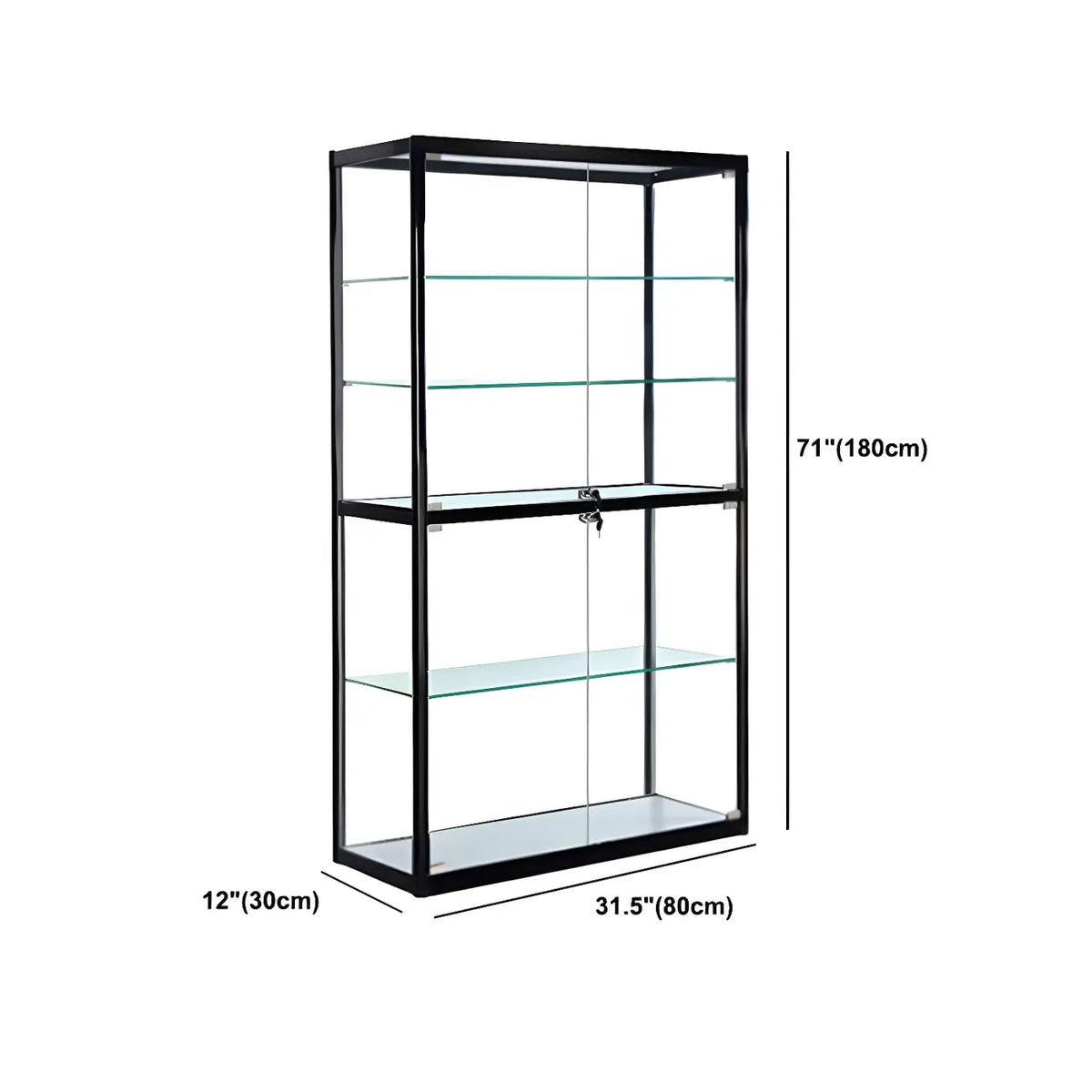 Contemporary Rectangular Black Glass Curio Cabinet