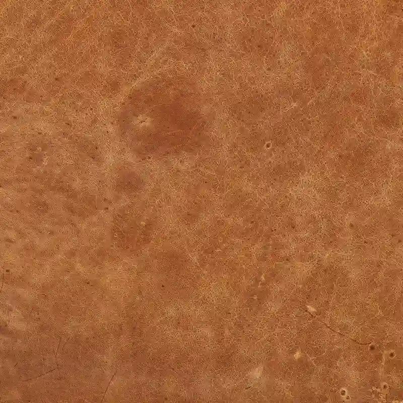 Poly & Bark Turin -nahkarahi, konjakinruskea