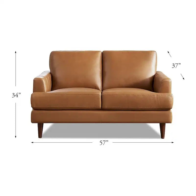 Sofá de dos plazas Cassia de Ivy Living, de cuero de grano superior, con espuma viscoelástica de plumas y resortes
