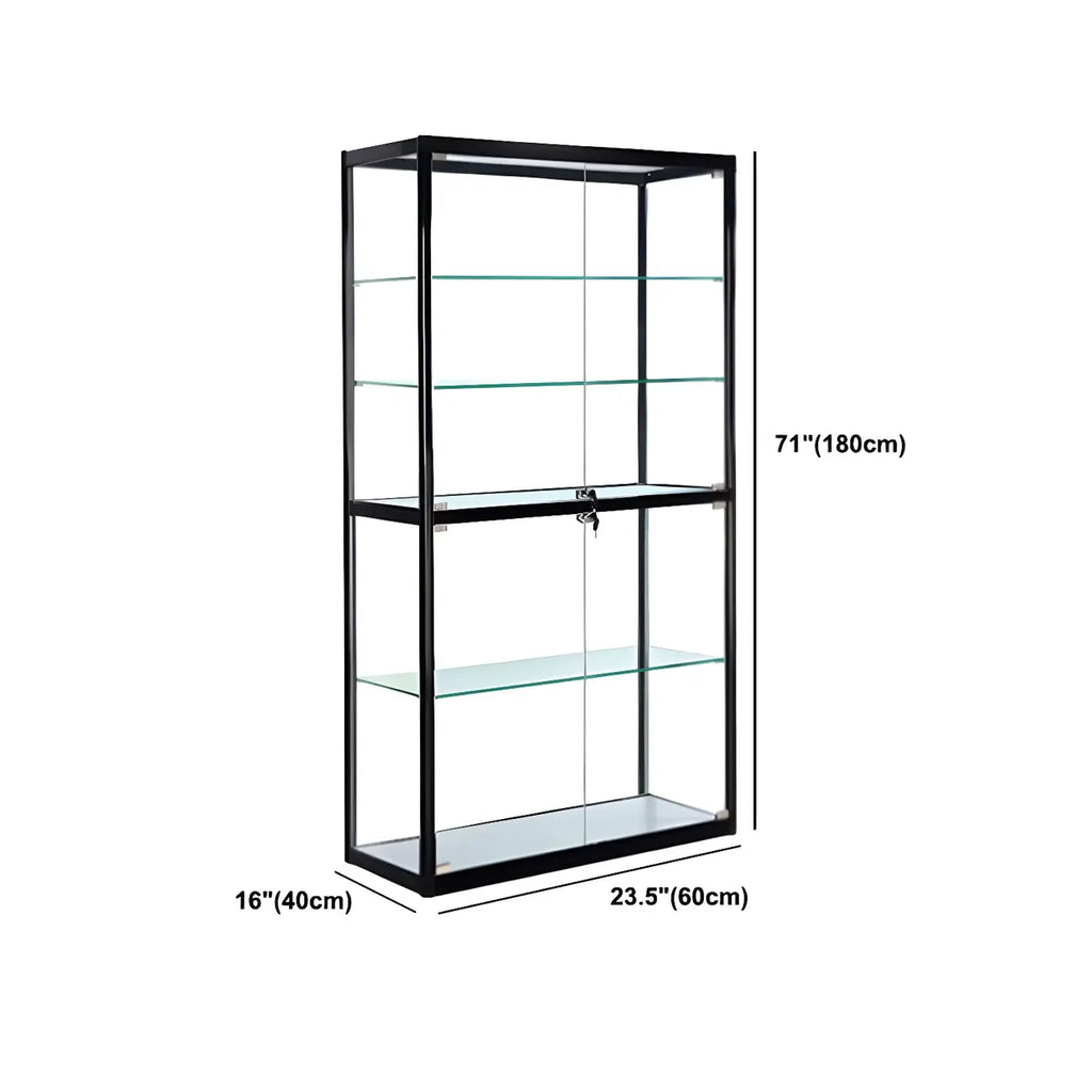 Contemporary Rectangular Black Glass Curio Cabinet