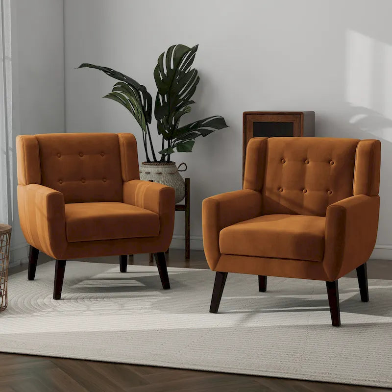 Set van 2 fluwelen accentstoelen voor de woonkamer, gestoffeerde fauteuils