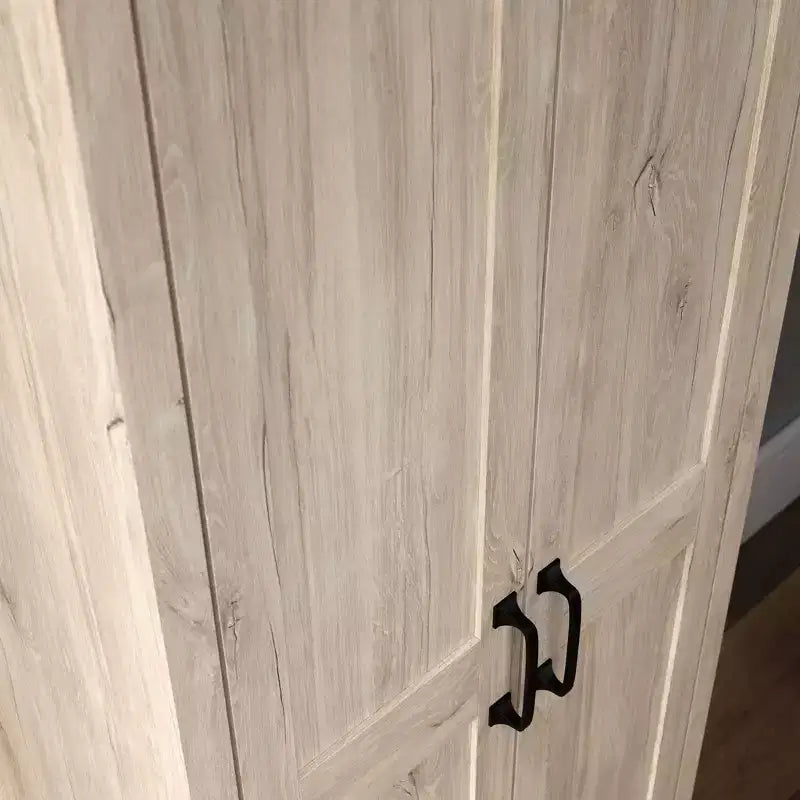 2 Door Storage Cabinet - Sauder