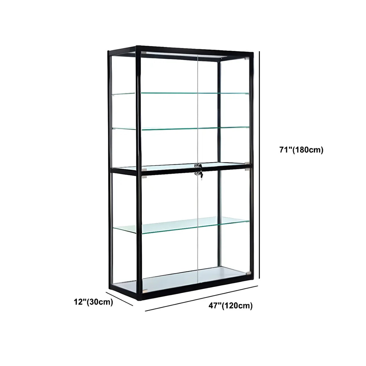 Contemporary Rectangular Black Glass Curio Cabinet