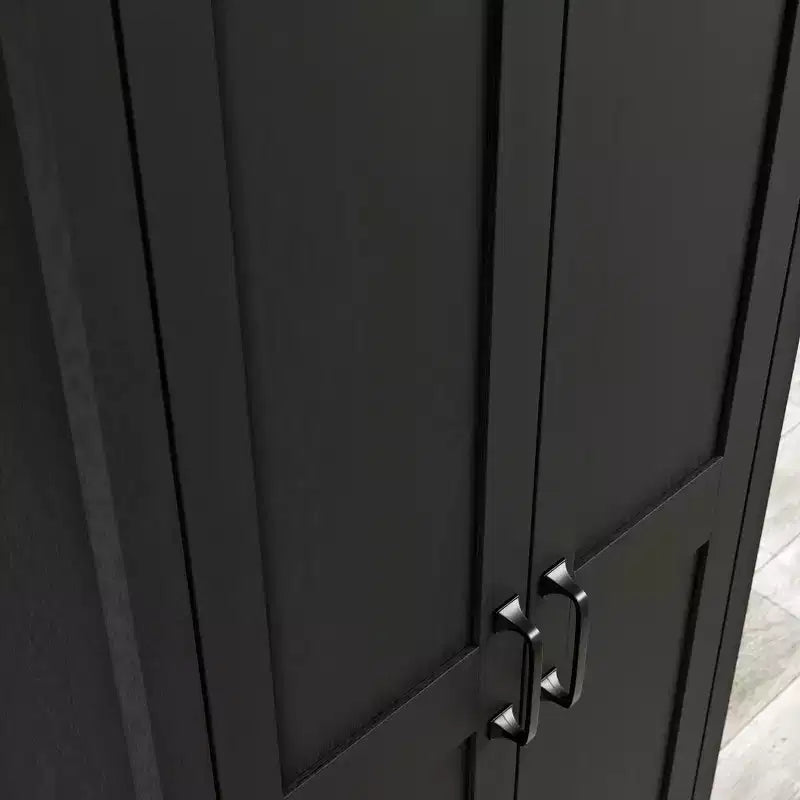 2 Door Storage Cabinet - Sauder