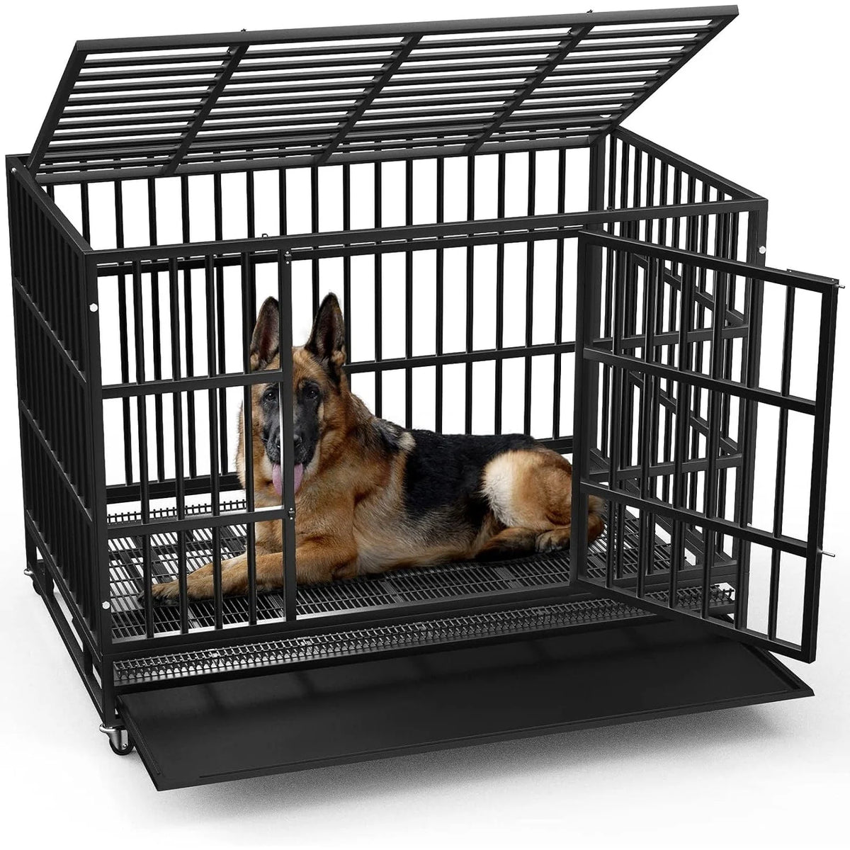 Cage pour chien BOSSIN robuste et indestructible de 48/38 po, chenil anti-fugue avec roulettes verrouillables